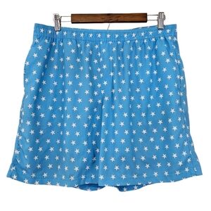 Chubbies Blye Star Spangled Rainbow Stripe Lined Mens Swim Trunks